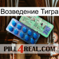 Возведение Тигра new02